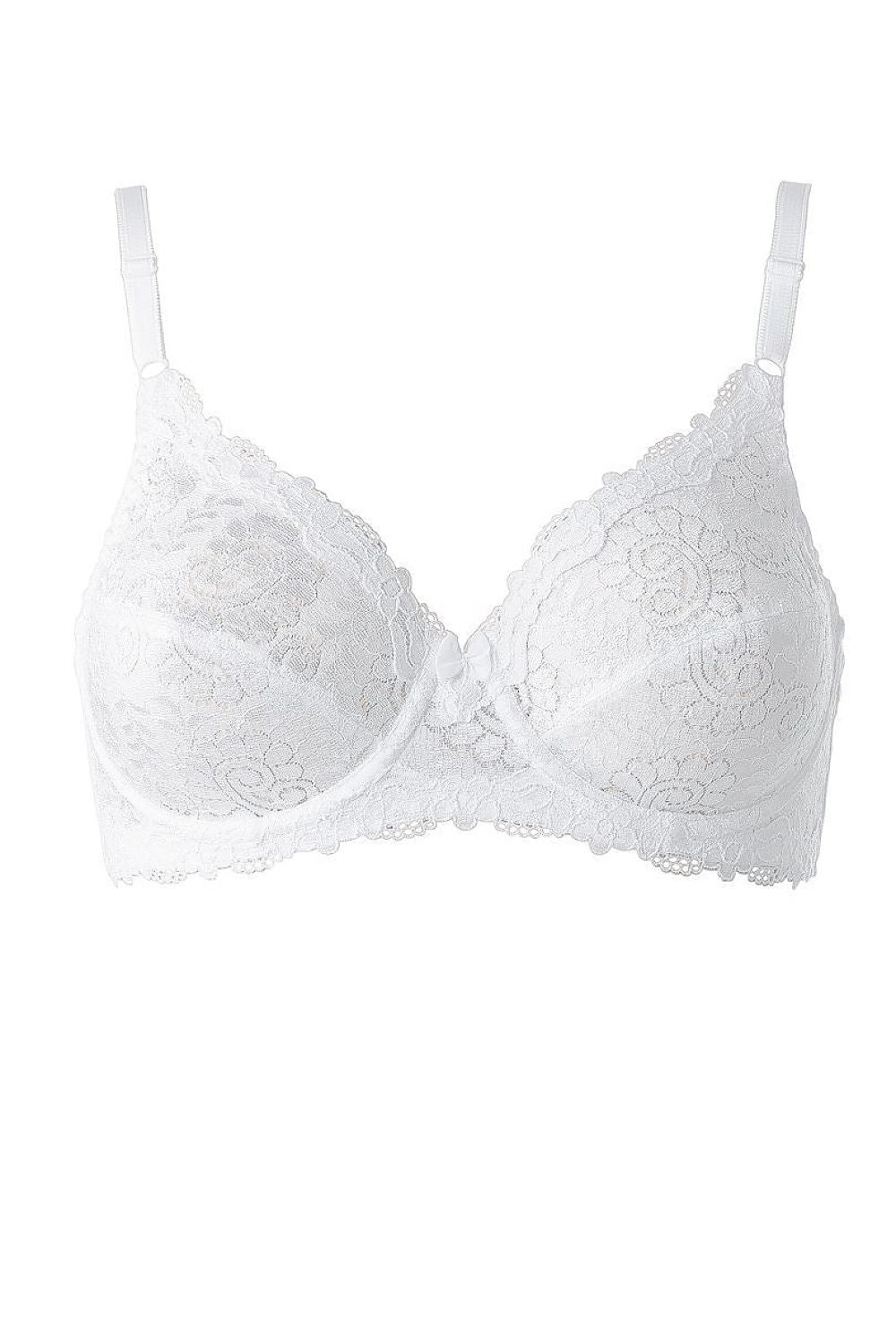 Soft model 230069 Triumph